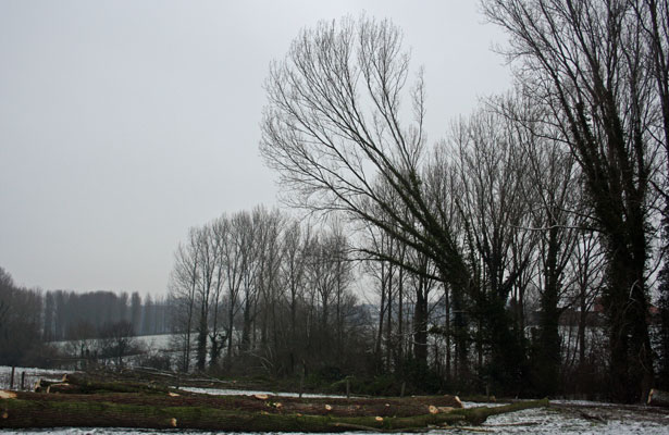 Bosexploitatie 2
