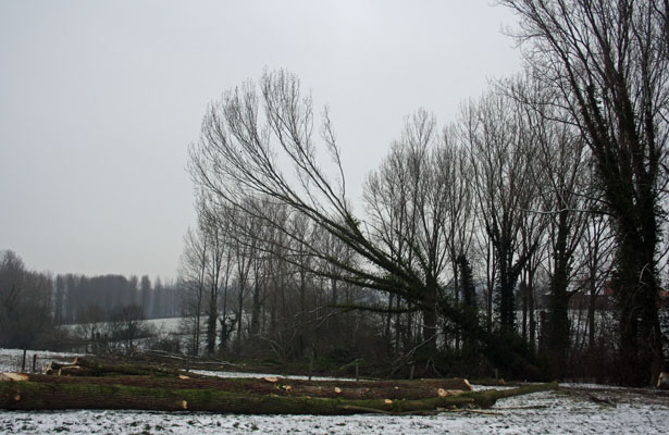Bosexploitatie 3