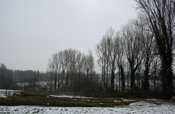 Bosexploitatie 4