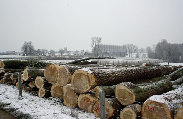 Bosexploitatie 7