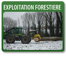 Bosexploitatie