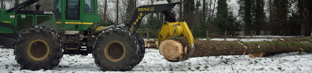 Verkoop bomen