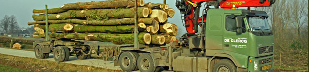 Verkoop bomen