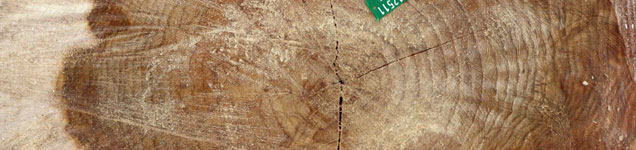Transport bomen