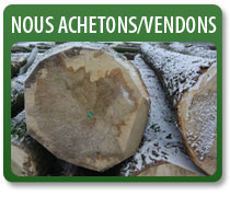 nous achetons/vendons